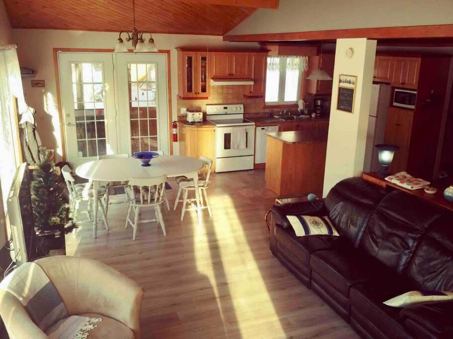 Le Chalet Bleu, Aux Pieds Des Monts-Valin Saint-David-de-Falardeau 外观 照片