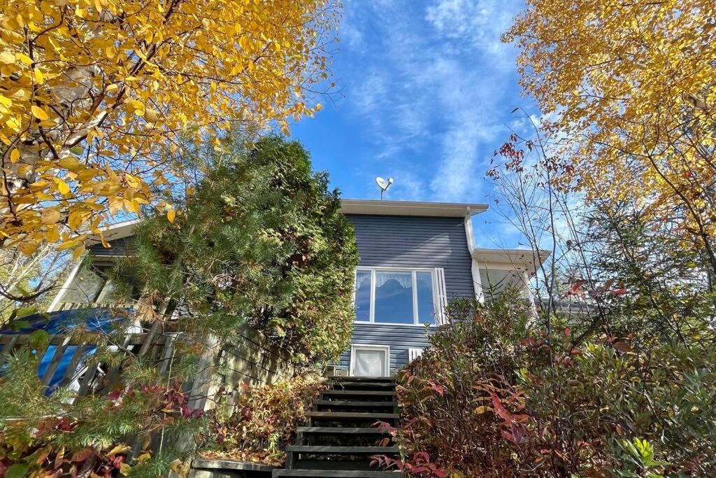 Le Chalet Bleu, Aux Pieds Des Monts-Valin Saint-David-de-Falardeau 外观 照片