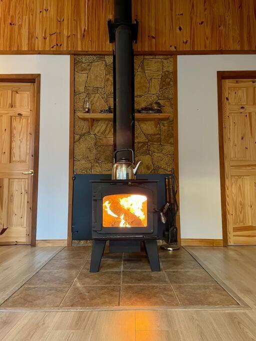 Le Chalet Bleu, Aux Pieds Des Monts-Valin Saint-David-de-Falardeau 外观 照片
