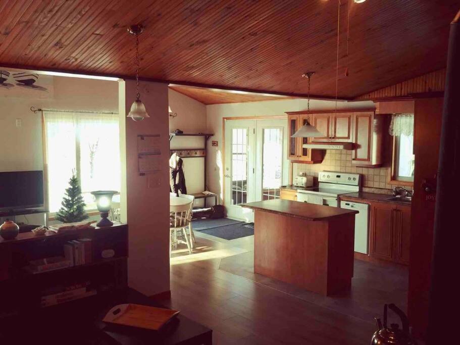Le Chalet Bleu, Aux Pieds Des Monts-Valin Saint-David-de-Falardeau 外观 照片